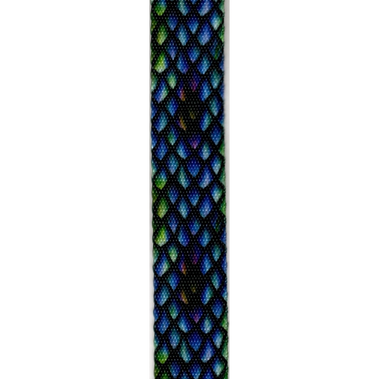 Dragon Scales 1" Webbing